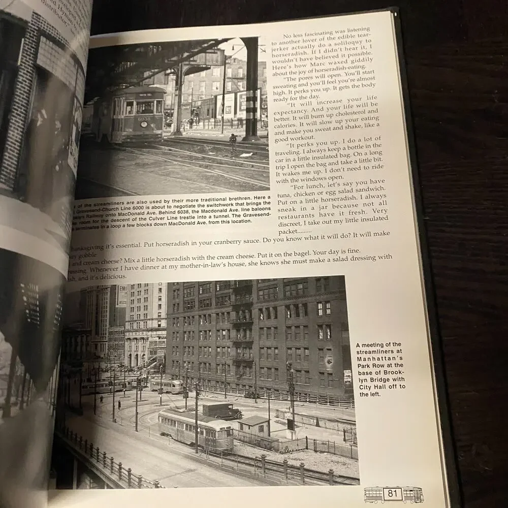 Confessions of a Trolley Dodger from Brooklyn by Stan Fischler (1995, Hardcover)